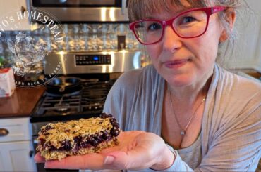 Homemade Blueberry Oatmeal Bars | Simple and Healthy Snack Recipe