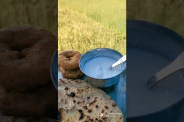 good morning with dahi vada and aloo pratha #shorts #viral #shortsvideo recipes