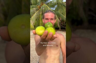 Top 5 Most Healing Fruits