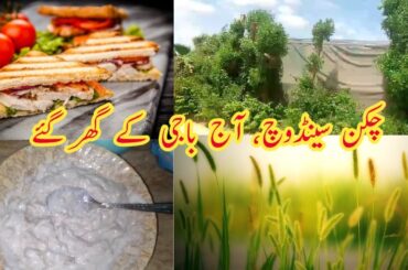 Chicken Sandwiches | Aaj baji k ghar gaye | Shaista's Everyday Life