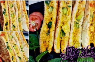 Malai boti sandwich|| Delights satisfy your cravings with our delicious recipes.