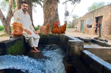 Healthy breakfast ideas | how to make chicken bread | chicken bread recipe | villageria food wig