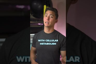 Are Overweight/Obese People Nutrient Deficient?