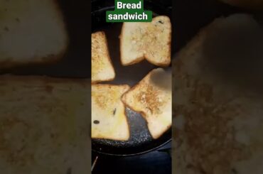 Bread Sandwich #recipe #tasty #healthy #yummy #breakfast #onion #bread #carrot#sandwich