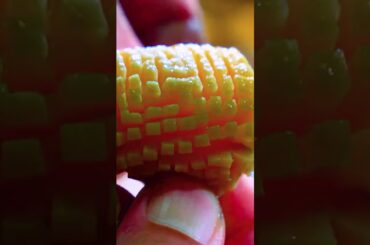 #Shorts "Healthy and Delicious Meal Prep Ideas" | Fun and Easy Recipes | The Handsome Cook #cooking