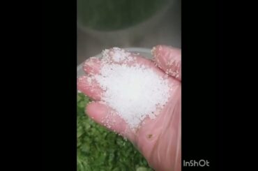 Bread with spinach filling/Sabanak fatayer Lebanese Recipe@KusEmma(Healthy food)