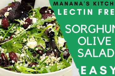LECTIN FREE RECIPE | SORGHUM OLIVE SALAD - MEAL | HEALTHY LUNCH IDEA | GLUTEN FREE GRAIN | Easy