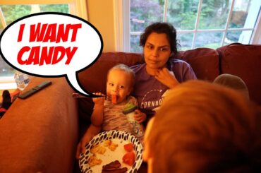 Healthy Family Meal Ideas... 1 and 3 Year Old