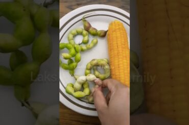 41 Snack | Today's Snack 41 | healthy Snack recipe | manila tamarind | Lakshmi Tamil Family