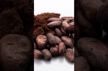 Healthy Chocolate Peanut Butter Protein Balls | Easy Vegan Snack Recipe #shorts #vegetarian #reels