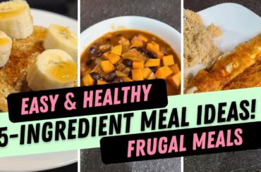 EASY 5-INGREDIENT MEAL IDEAS! || 3 EASY, HEALTHY RECIPES
