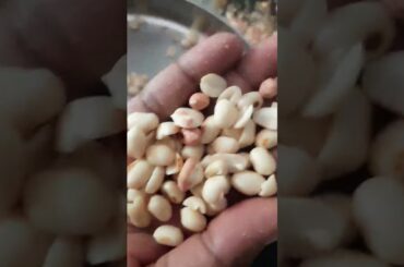 Healthy Snacks ellu  Urundai (South Indian Recipe.Peanuts,grated coconut, palmjaggery,)