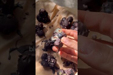 How To Make Healthy Blueberry Dark Chocolate Treats #healthyfood #healthyrecipes #healthytreats