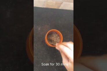 Healthy Weight loss drink | Chia seeds drink | Weight loss drinks | Summer special drinks #shorts