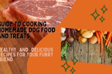 Guide to Cooking Homemade Dog Food and Treats Healthy and Delicious Recipes for Your Furry Friend