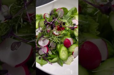Healthy and delicious leaf salad | sprout salad |