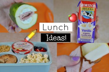 Healthy & Unique School Lunch Ideas!