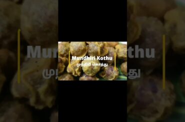 Mundhiri Kothu|Nagercoil spcl#sweet #snack #recipe #healthy #shorts #viral #trending #vlog #video