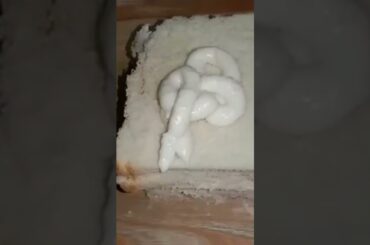 chicken sandwich recipe #shorts  chicken recipe | food steams | chicken sandwich easiest recipe