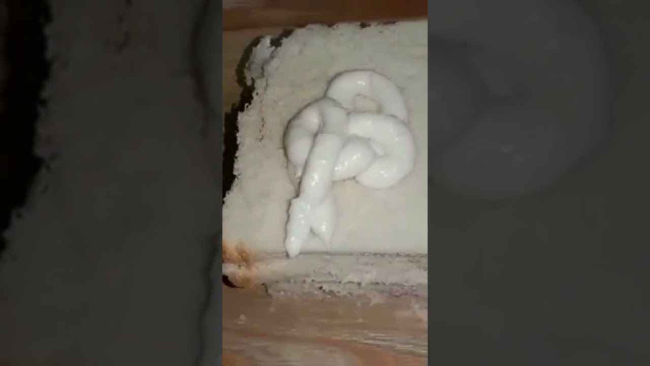 chicken sandwich recipe #shorts chicken recipe | food steams | chicken sandwich easiest recipe chicken sandwich recipe #shorts chicken recipe | food steams | chicken sandwich easiest recipe