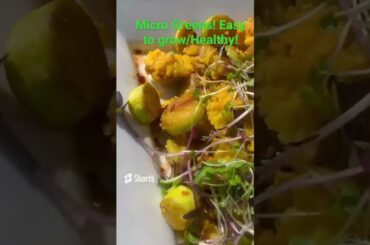 Microgreens Delicious, Easy to Grow & very Healthy! Toss it in salad/top it on a sandwich! #recipe