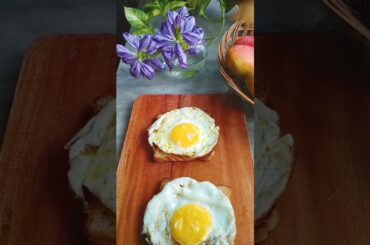 Less than 5 Minutes Recipe with Bread and Egg  | Extremely easy and healthy | #shorts #food