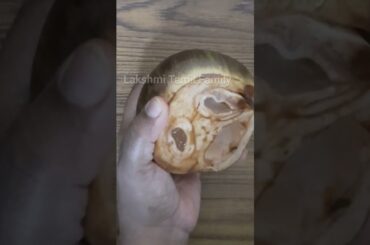 37 Snack | Today's Snack 37 | healthy Snack recipe | like & Subscribe | Lakshmi Tamil Family