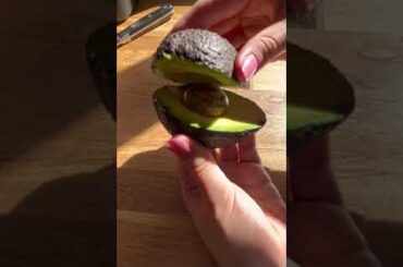 Day 8 of healthy recipes avocado egg toast #healthybreakfastideas #healthyrecipes #healthybreakfast