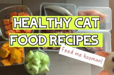 Healthy Homemade Cat Food Recipes