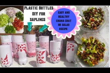 Easy DIY bottle planters || 2 types healthy chana salad recipe || #healthyrecipes #diy