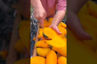 Riped Mango Slicing satisfying video #shorts #viral
