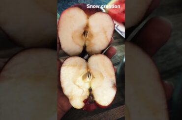 baby healthy recipes for growth