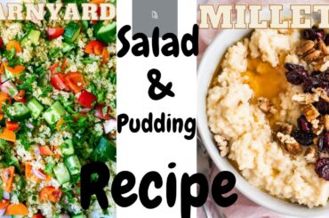 Most Favorite Healthy Salad | Millet Salad | How to cook Millet | Millet recipes |Millet pudding