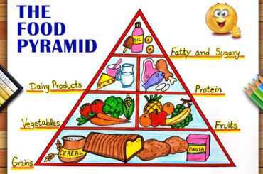 Food Pyramid Drawing | Nutrition Healthy Food Pyramid Drawing | Balanced Diet Food Pyramid Drawing