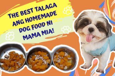 Best Dog Food! (Easy, Tipid, Healthy, & Homemade) / ft. My Furbabies / Vlog 007