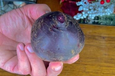 best beetroot carrot and apple salad recipes - very healthy