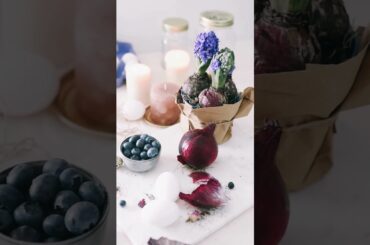 Delicious and Easy Healthy Snack Ideas