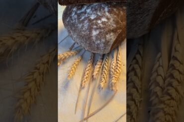 #pane fatto in casa #bread #breadrecipe #homemade #breadathome #breadrecipes #shorts #paneerrecipe