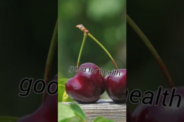 lunch box ideas for kids and adults and healthy baby food