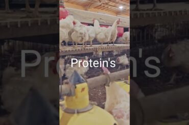 Healthy foods/ Healthy food recipes!#shorts #short #how