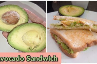 Avocado Sandwich. Healthy Breakfast Recipe. Sandwich Recipe. Avocado Recipes.