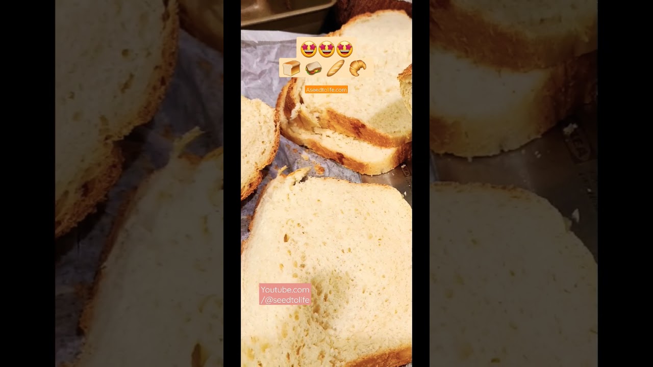 Bread Making Compilation | Healthy Umami Homemade Breads loaded with homegrown herbs and seeds Bread Making Compilation | Healthy Umami Homemade Breads loaded with homegrown herbs and seeds