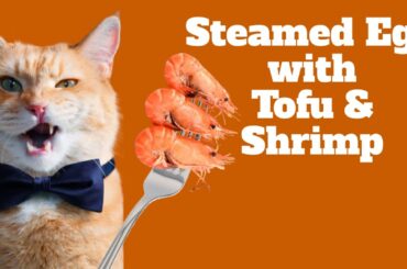 Simple Recipe/Steamed Egg with Tofu and Shrimp/Low Calorie Breakfast