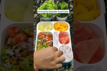 Healthy lunch box ideas#desilunchboxideas #shortvideo