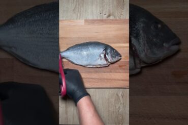 POISSON AUFOUR ULTRA FONDANT #recette #recettefacile #recetterapide #healthy #recipes #recettesimple