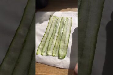 Day 13 of healthy recipes- cucumber sushi