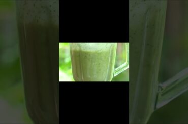 Healthy Avocado Smoothie Recipe: Perfect for Breakfast or Snack Time