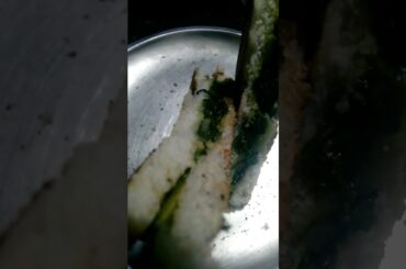 Spinch sandwich #yummy #shortfeed #healthy #youtubeshorts #food #trendingshorts