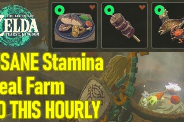 This Zelda Tears of the Kingdom stamina food farm is INSANE, do this HOURLY for 6+ full restores