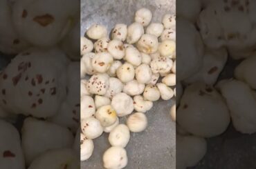 Crunchy & Healthy Makhana Roast Recipe | Guilt-Free Snack | Easy Tutorial #shorts #short #makhana